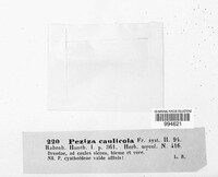 Image Associated With the Occurence